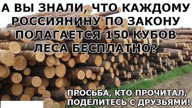 А ВЫ ЗНАЛИ, ЧТО КАЖДОМУ РОССИЯНИНУ ПО ЗАКОНУ ПОЛАГАЕТСЯ 150 КУБОВ ЛЕСА БЕСПЛАТНО?