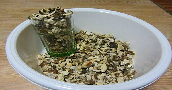 Корни подсолнечника от камней в почках рецепт с фото пошагово