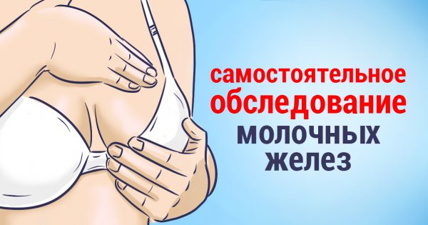 Схема обследования молочной железы у женщин