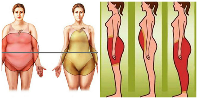 Верхняя часть толстая. Жир в верхней части тела. Отложение жира в верхней части тела. Жир накапливается в верхней части тела. Отложение жира в верхней части туловища у женщин.