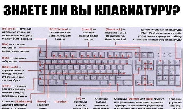 Что значит мультимедийные клавиши на клавиатуре