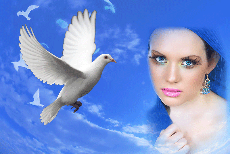 Петь песни голуби. Девушка с голубем. Девушка с белым голубем. Красивые девушки с голубями.