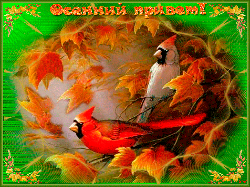 Осенние открытки с добрым бесплатные. Осенние открытки. Красивые осенние открытки. Осенние птицы. Открытки с осенью.