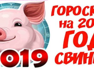 Год свиньи человек. 2019 Год поросенок. Календарь 2019 год свиньи. Газета на год свиньи. Купюры год свиньи.