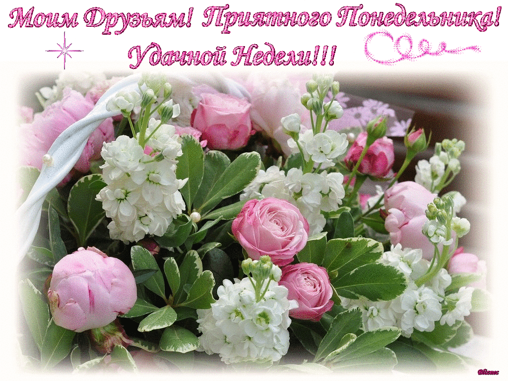 Пусть цветы радуют. Добрые пожелания. Прекрасные пожелания. Хорошего настроения и удачного дня цветы. Цветы весенние с добрыми пожеланиями.