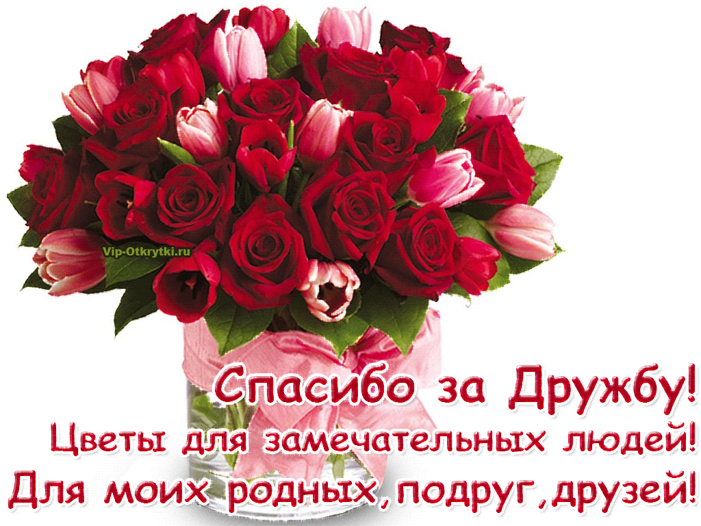 Текст подруге скопировать. Открытки с благодарностью за дружбу. Цветы поздравления. Красивые цветы с пожеланиями. Поздравление цветы для женщины.