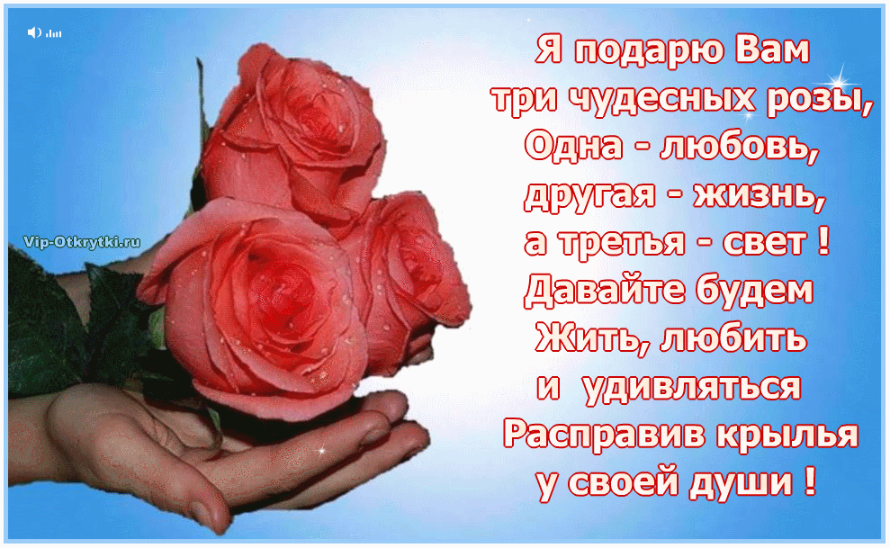 Подарю букет текст. Розы с пожеланиями. Открытка дарят розу. Дарю вам счастье. Красивые стихи про розы.
