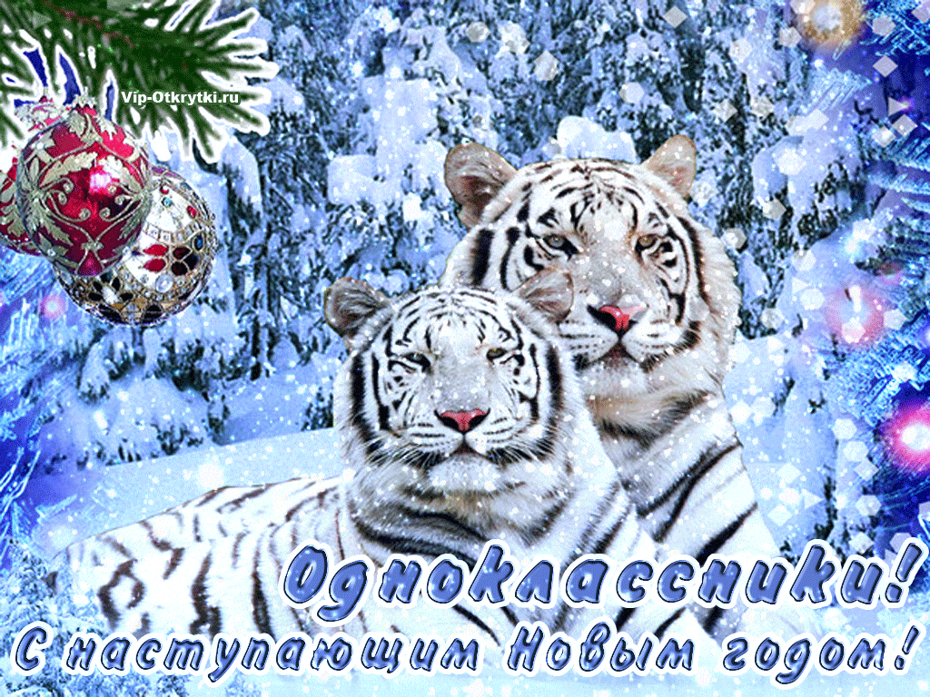 Одноклассники, с наступающим годом тигра