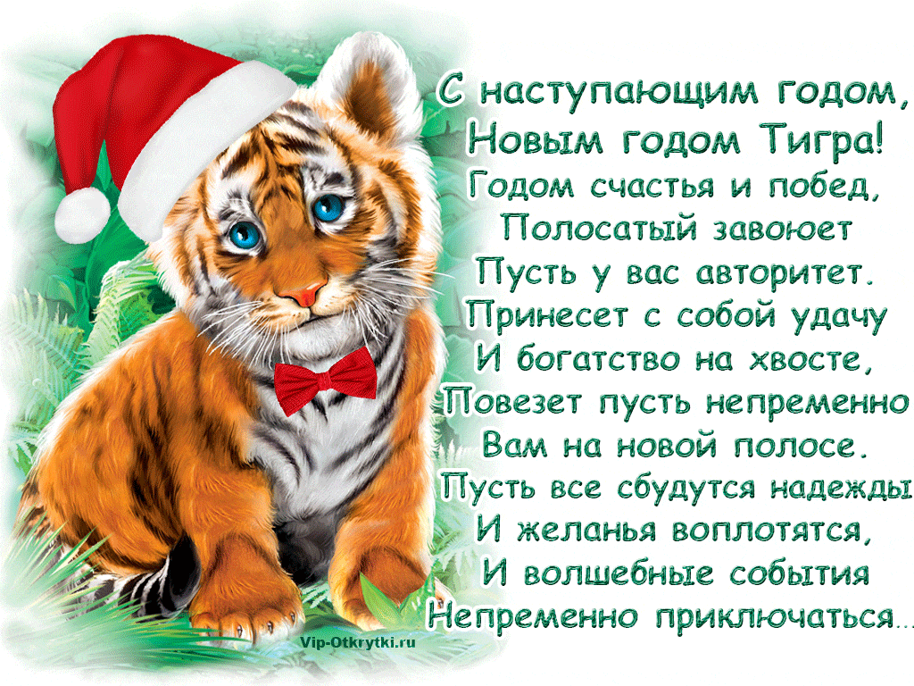 Поздравляю с наступающим Новым годом тигра