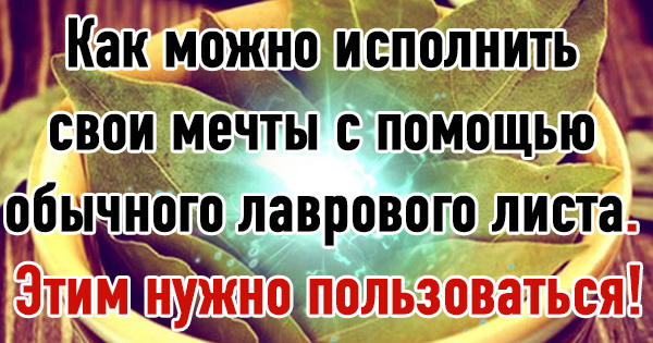 Как можно исполнить свои мечты с помощью обычного лаврового листа. Этим нужно пользоваться!