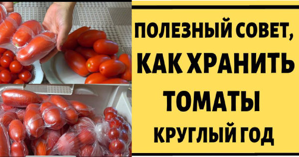 Как заготовить томаты на зиму: необычайно эффективное решение