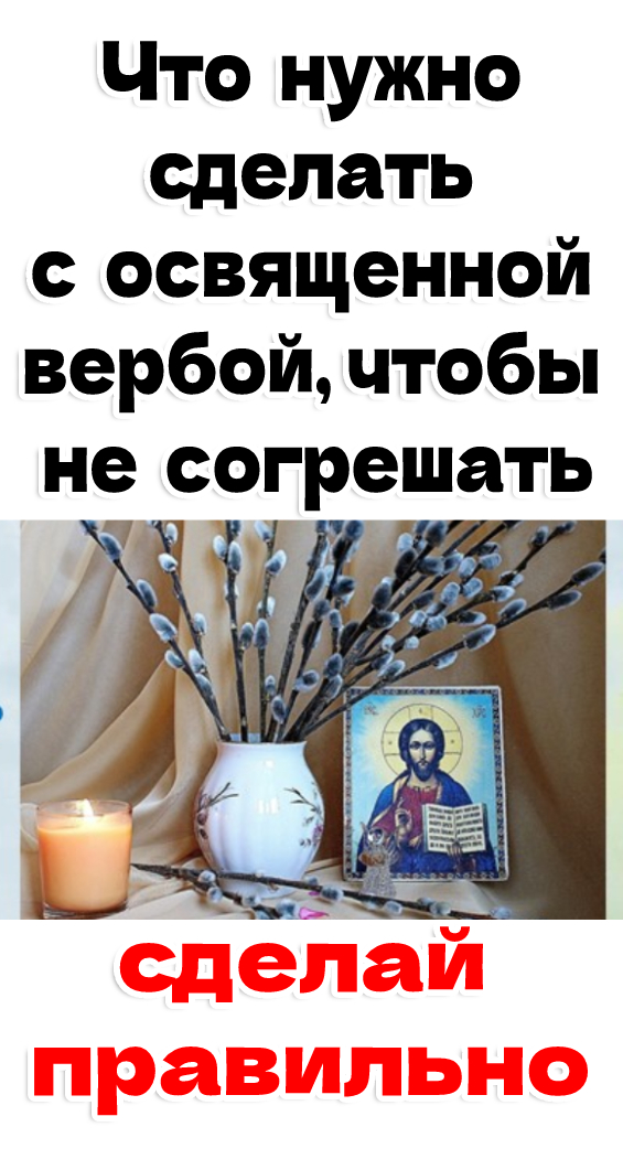 Что нужно сделать с освященной вербой, чтобы не согрешать, поступаем правильно