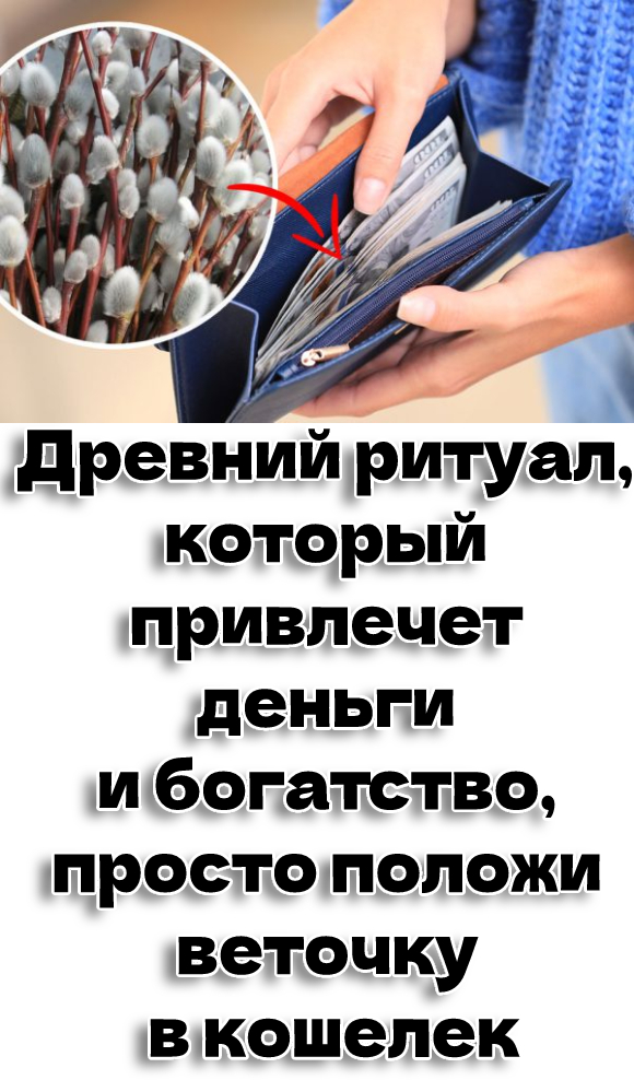 Древний ритуал, который привлечет деньги и богатство, просто положи веточку в кошелек