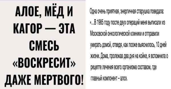 Алое, мед, кагор — эта смесь “поднимет” даже мертвого!