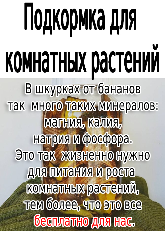 Подкормка для комнатных растений