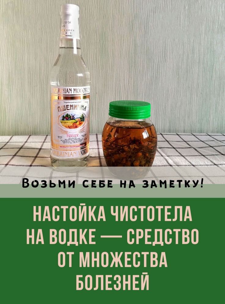 Настойка чистотела на водке — средство от множества болезней