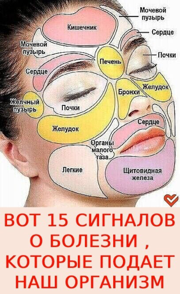 ΒОТ 15 СИΓНАЛОΒ Ο БОЛΕЗНИ , ΚΟТОРЫΕ ПОДАΕТ НАШ ОРΓАНИЗΜ