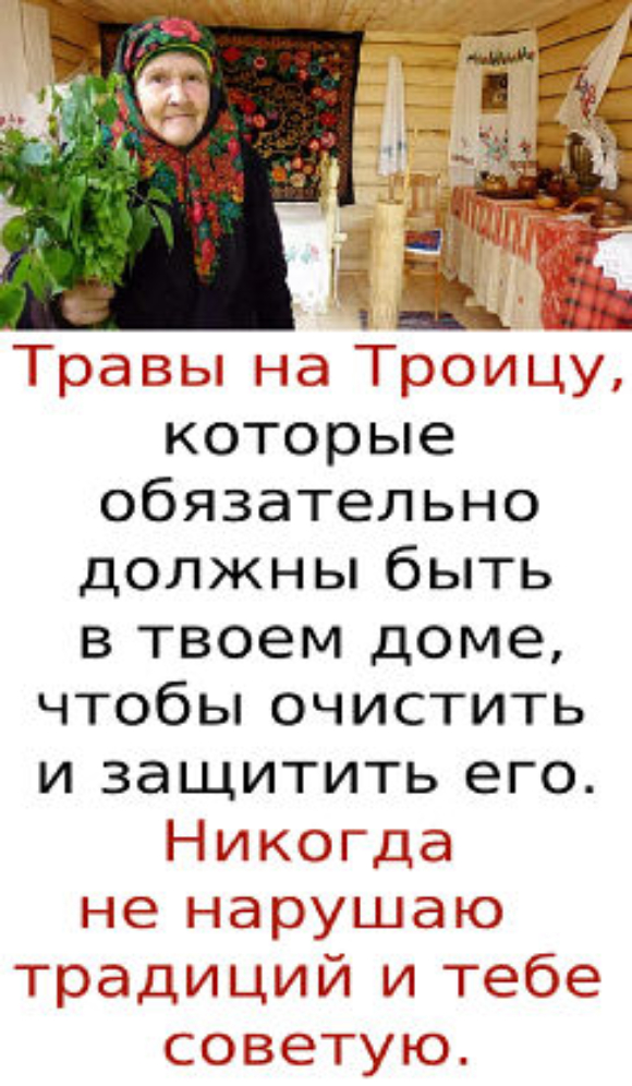 Травы на Троицу, которые обязательно должны быть в твоем доме, чтобы очистить и защитить его.