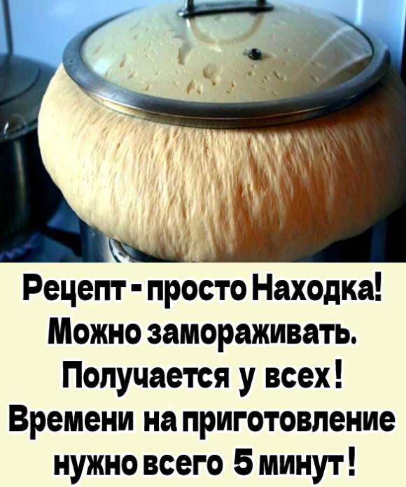 Готовлю я из этого теста Вкуснейшие пирожки, беляши, булочки, лепешки, пироги с разными начинками, плюшки, ватрушки, пиццу... Рецепт Во!