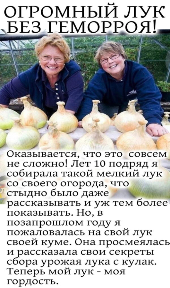 Огpомный лук, без "гeмoppoя" !