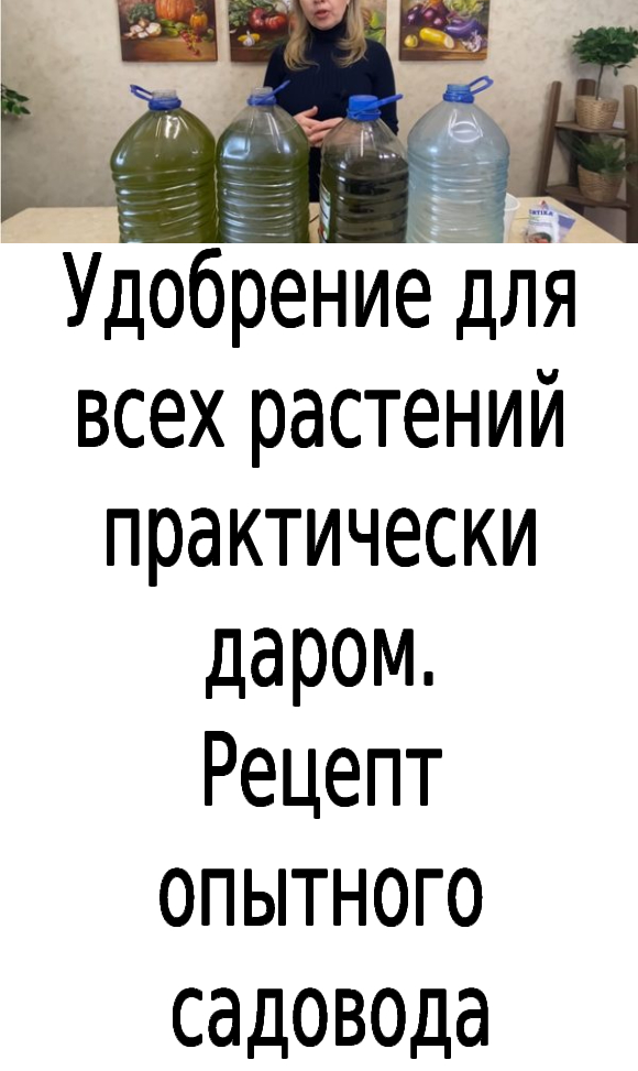 Удобрение для всех растений практически даром. Рецепт опытного садовода