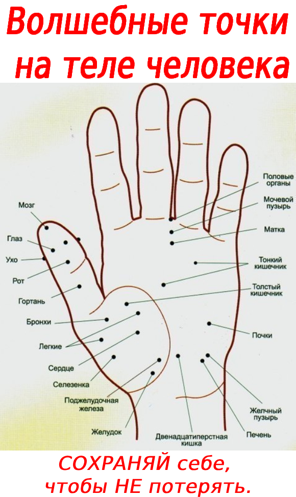 Волшебные точки на теле человека⁠⁠