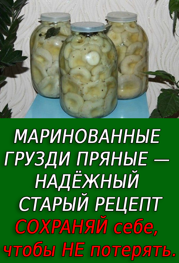 МАРИНОВАННЫЕ ГРУЗДИ ПРЯНЫЕ — НАДЁЖНЫЙ СТАРЫЙ РЕЦЕПТ