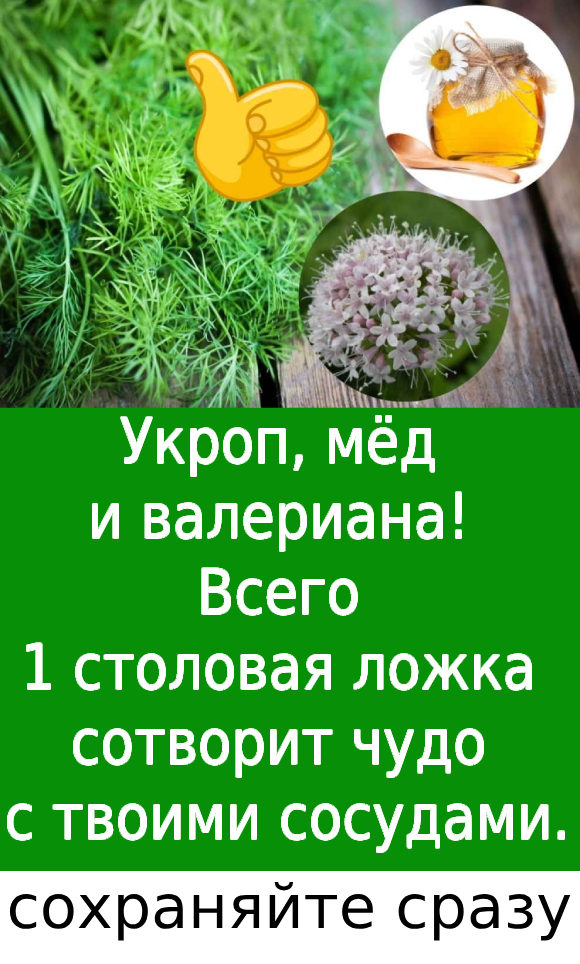 Укроп, мёд и валериана! Всего 1 столовая ложка сотворит чудо с твоими сосудами.