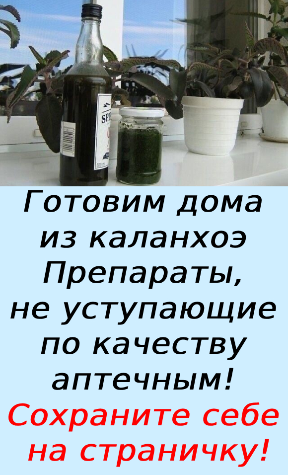 Готовим дома из каланхоэ Препараты, не уступающие по качеству аптечным! Сохраните себе на страничку!