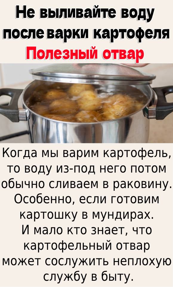 Не выливайте воду после варки картофеля. Полезный отвар