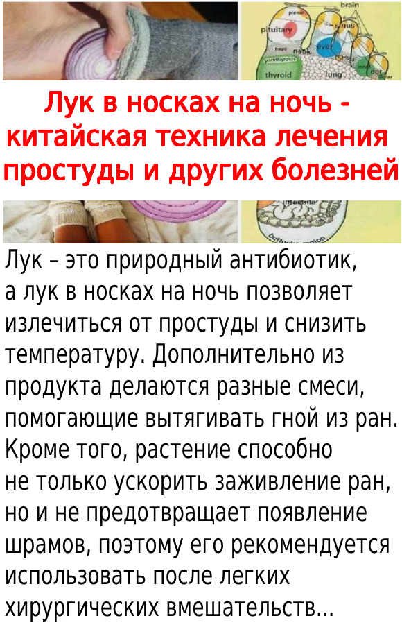 Лук в носках на ночь - китайская техника лечения простуды и других болезней