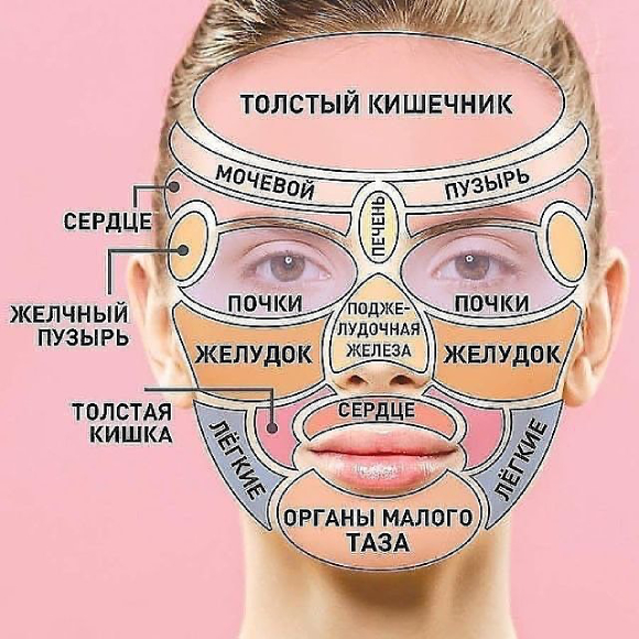 ☝Прыщи на лице - какой орган не в порядке?