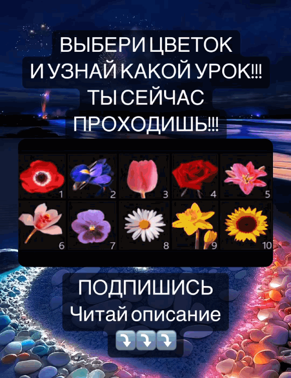 Выбери свой цветок !