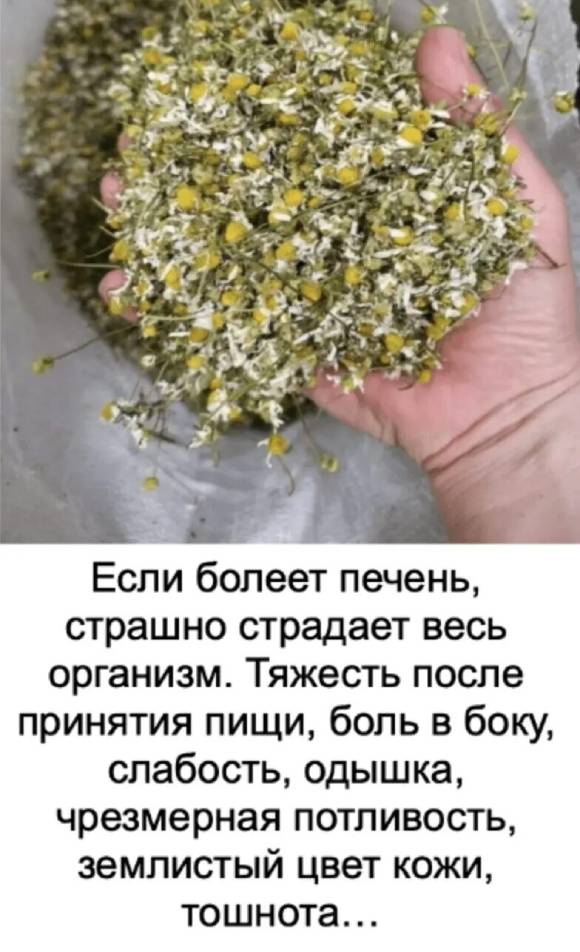 Травы для печени