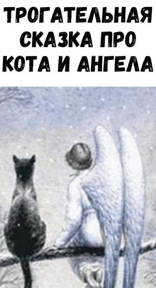 Трогательная сказка про кота и ангела
