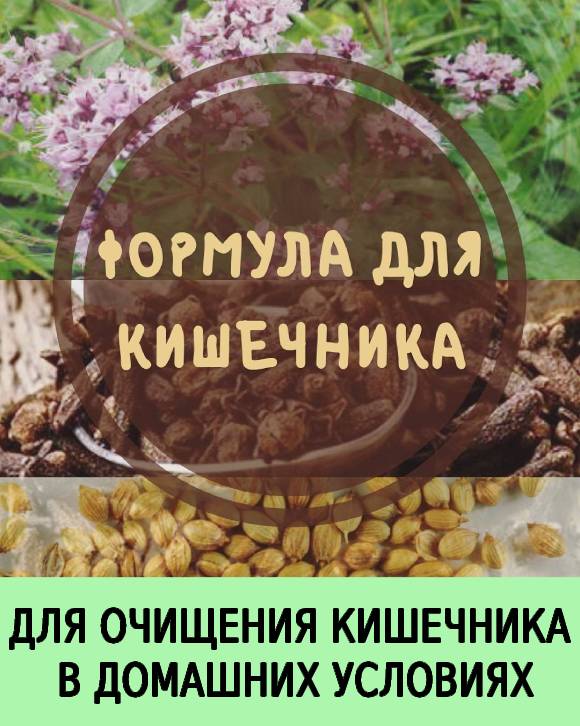 ДЛЯ ОЧИЩЕНИЯ КИШЕЧНИКА В ДОМАШНИХ УСЛОВИЯХ