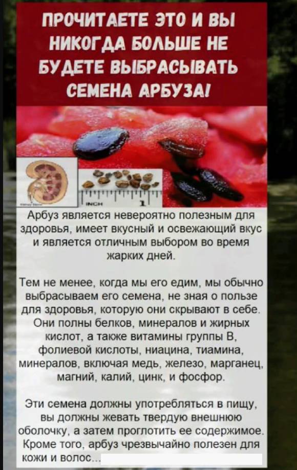 Семена арбуза для здоровья