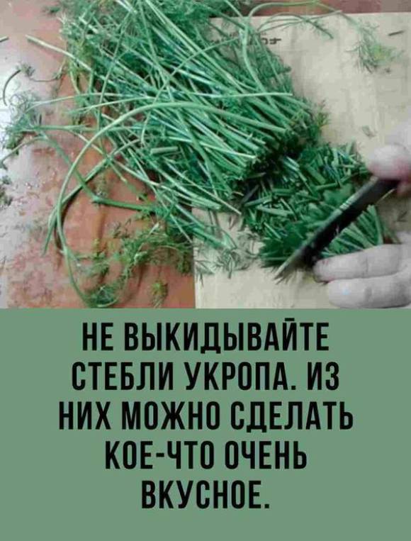 Не выкидывайте стебли укропа. Из них можно сделать кое-что очень вкусное.